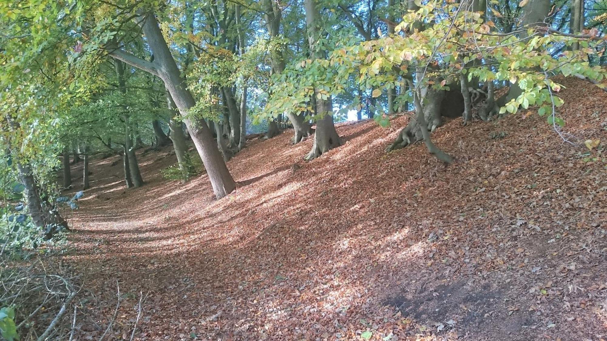 Mobilheim Am See Wittenborn エクステリア 写真